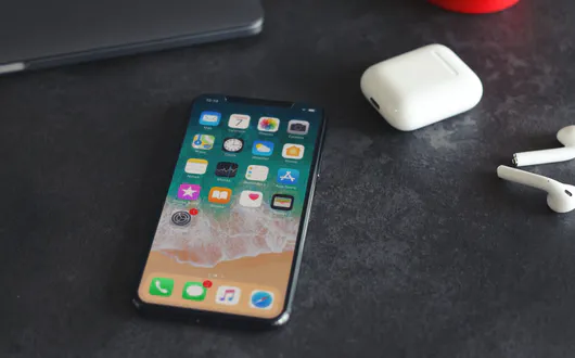 iPhone X Face Recognition Risks